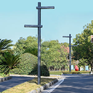 4M 5M 6M 8M Hoge Paalverlichting Op Maat Gemaakte Hoogte en Wattage Moderne Nieuwe LED Binnenverlichting Aluminium Wegverlichting Buitenverlichting - Product Image 3