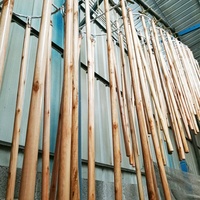 Meilleure vente d'outils de nettoyage manche de balai en bois peint verni manche de balai en bois râteau