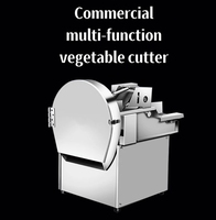 Kr 220V Roestvrijstalen Multifunctionele Groentesnijder Fruitblad Spinazie & Aardappel Wortelpeterselie Machine