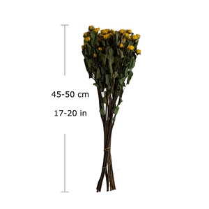 <span class=keywords><strong>Rose</strong></span> Rosse Essiccate UKIQUEEN, Un Mazzo di <span class=keywords><strong>Rose</strong></span> Naturali Essiccate con Stelo per Decorazioni Domestiche - Product Image 2