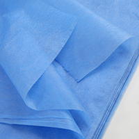 Housse de lit jetable Solong TC241 15gsm 20pcs/sac, imperméable, pour salon de tatouage et maquillage permanent