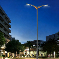 Éclairage extérieur paysager à double tête AC 80-300W au design moderne, protection IP65, lampadaire LED en acier, intensité variable