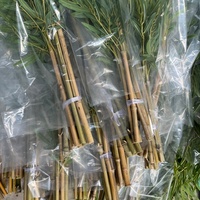 Arbre en bambou artificiel réaliste, écologique, résistant à l'eau, durable, léger, décoration intérieure, 150 cm-250 cm, aspect naturel