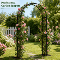 Arche de jardin en métal, treillis en fer pour plantes grimpantes, roses, vignes, décoration de fond pour cérémonies de mariage et jardins extérieurs