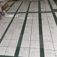 Carreaux/Comptoir en marbre blanc italien Bianco Cararra
