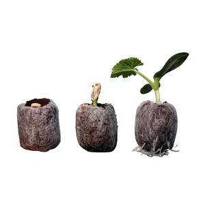 En gros, pastilles de coco compressées pour la germination des graines et la pépinière, taille D36mm, extensible à H60mm - Product Image 2