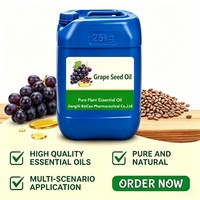 Minyak Biji Anggur Murni Cold Pressed Grosir, Alami, untuk Pencampuran Minyak Esensial, Aromaterapi, Pengenceran, Pasokan Pabrik