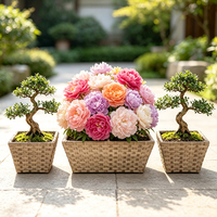 Jardinière rectangulaire en rotin PE avec double panier et pot intérieur amovible pour jardin et balcon