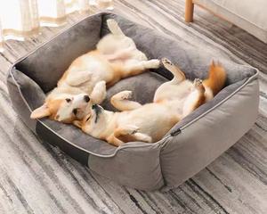 Cama de franela de retales xxl para perro, accesorios para mascotas, almohada para perro, cama cuadrada de color - Product Image 2