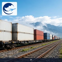 Transport ferroviaire fiable de Chengdu vers l'Europe de l'Est, service de transport ferroviaire Chine-Europe, service DDP