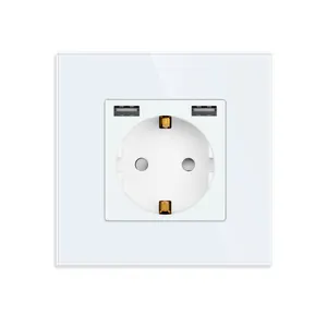 Bingoelec EU Standard Double USB Wall Socket 20W Fast Charging power Germany plug Socket type F