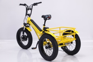 Triciclo Plegable Ztr Reverse Drift Scooter 2021 a Precio Económico de Fábrica - Product Image 5