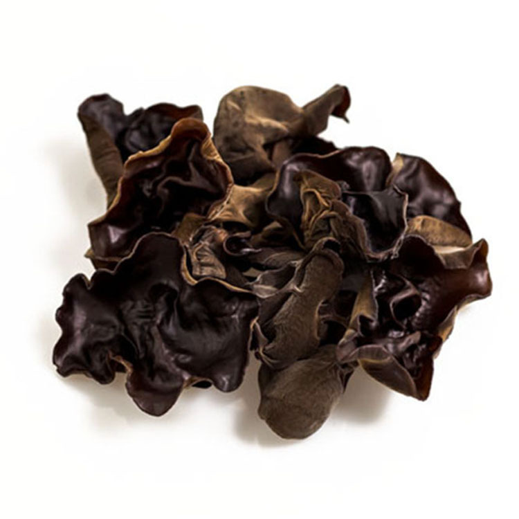 Natural Product Healthy Raw Cultivated Fungus