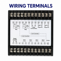 Contrôleur intelligent de niveau de liquide à double canal avec affichage numérique, pression, température, sortie RS485 Modbus 4-20mA, OEM/ODM