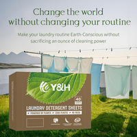 Feuille de lessive lavande OEM en vrac feuilles de détergent de lessive en poudre détergent sans eau hypoallergénique en feuilles