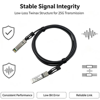 Kabel DAC SFP28 ke SFP28 25G Berkinerja Tinggi, Kabel Tembaga Pasif Direct Attach 0.5m 1m 2m 3m 5m Interkoneksi Pusat Data