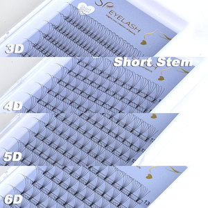 Lông Mi Nối Trước Gốc Ngắn 5D 6D Chất Lượng Cao 10D Làm Bằng Tay 0.05 0.07 Quạt Làm Trước Gốc Dài Quạt Làm Sẵn Khối Lượng Làm Sẵn Lỏng Lẻo - Product Image 2