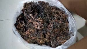 HOT HOT ! !! Algues Sargasses du Vietnam avec des normes d'exportation élevées et un prix compétitif en 2023 - Product Image 4