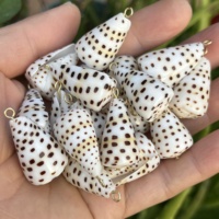 Coquillages naturels en vrac Conus Ebraeus (coquille de bernard-l'ermite) pour pendentifs de bijoux hawaïens DIY (colliers, boucles d'oreilles)