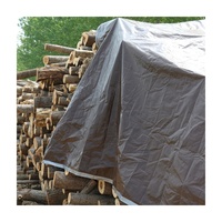 Auvent tissé couverture industrielle tente Style enduit auvent PE bâche pour voitures et agriculture plaine robuste UV étanche