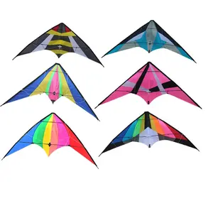 China Kites Kites China Factory Direct Sales Promotional Albatross Two-line Custom Stunt Kite Stunt Kites