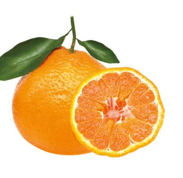 Fresh Citrus Fruits Premium Chinese Mandarin Fruits Orange Tangerine Exporter