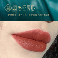 Nouvelle Arrivée Vente en Gros Maquillage Cosmétiques Repulpeur de Lèvres Rouge à Lèvres Mat Longue Tenue Imperméable Luxe 24 Heures pour la Beauté des Lèvres