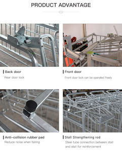 Nuevo Corral de Gestación para Cerdas con Acceso Libre, Construcción de Acero Galvanizado, Diseño Duradero - Product Image 4
