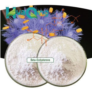 Лучшая цена, чистый бета-эктистерон порошок, бета-эктистерон, 90% 95% - Product Image 2