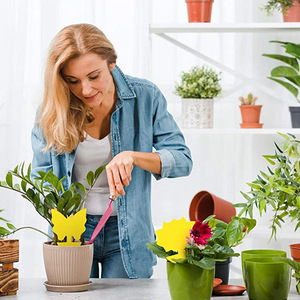 Pièges collants double face Pièges collants pour <span class=keywords><strong>plantes</strong></span> jaunes non toxiques Pièges à <span class=keywords><strong>moucherons</strong></span> pour <span class=keywords><strong>plantes</strong></span> d'intérieur - Product Image 6