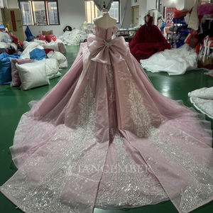 Robe de bal moderne rose pâle pour Quinceañera, style princesse, avec décolleté cœur, dentelle perlée, longueur ras du sol, traîne chapelle, Xs175 - Product Image 3