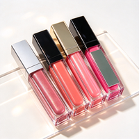 Vente en gros de gloss à lèvres personnalisé avec logo, de haute qualité, avec miroir, rouge à lèvres liquide pur imperméable, gloss à lèvres brillant en tube