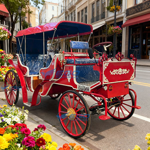 2025 Carrosse de tourisme électrique sans chevaux pour transport spécial touristique - Product Image 2