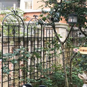 Treillis de jardin DB 71 x 19,7 po en métal noir antirouille, support pour plantes grimpantes, clôture de jardin extérieur - Product Image 6