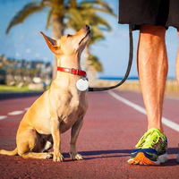 Localizador GPS para Mascotas, Resistente al Agua, Collar para Perros y Gatos, Mini Rastreador Inteligente Antipérdida para Android e iOS, Cuidado de Personas Mayores