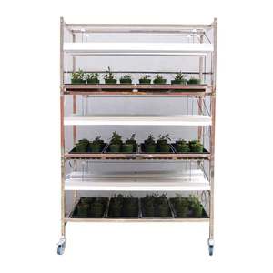 Professionele <span class=keywords><strong>Indoor</strong></span> Spruit Zaailing Hydrocultuur Set Met Led Aanvullende Verlichting En Plantbakken - Product Image 6