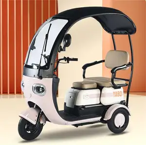 China Cheap Electric Tricycle Scooter 3 Wheels Cheap Cute Design Electric Tricycle For Women To Pick Up Children