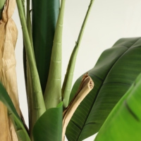 Décoration intérieure Offre Spéciale plante artificielle bananier grande feuille faux bananier en pot extérieur