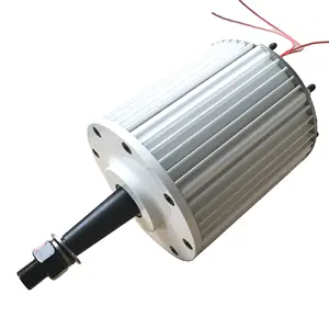 1 kW 2 kW Drei-Phasen-Permanentmagnetgenerator 300 U/Min. 500 U/Min. Dynamo Magneto 48 V bis 220 V