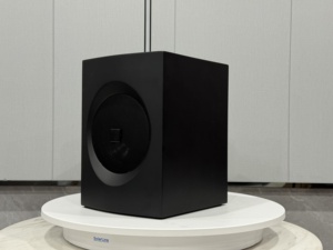 Système de haut-parleurs DJ avec impédance de 8ohm pour Bluetooth Neodymium Magnet Party Box pour une qualité sonore parfaite - Product Image 5