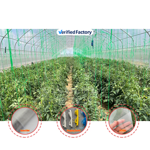 Serra Agricola Monocampata in Film Plastico BAOLIDA per <span class=keywords><strong>Semi</strong></span> di <span class=keywords><strong>Pomodoro</strong></span> - Product Image 1