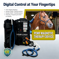 Appareil PEMF équin, dispositif de thérapie pour chevaux, champ électromagnétique pulsé, réadaptation, blessures sportives