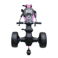 Vente chaude Scooter De Golf Électrique Pliable Télécommande Chariot De Golf Avec Batterie Au Lithium 3 Roues Chariot De Golf Électrique