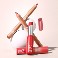 Набор для губ Pudaier 2-в-1: глянцевая помада и карандаш для губ OEM/ODM, увлажняющий, кремовый, с высоким блеском, матовый, с индивидуальным логотипом, стойкий, придающий объем