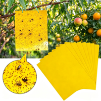 Piège à insectes collant jaune 10x25cm pour intérieur/extérieur, serre, attrape-mouches et mites, personnalisable avec logo – Vente chaude