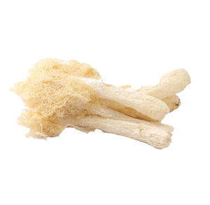Bedak ekstrak 30% polysaccharide <span class=keywords><strong>Phallus</strong></span> indosiatus, bubuk ekstrak/<span class=keywords><strong>Phallus</strong></span> <span class=keywords><strong>Indusiatus</strong></span> - Product Image 3
