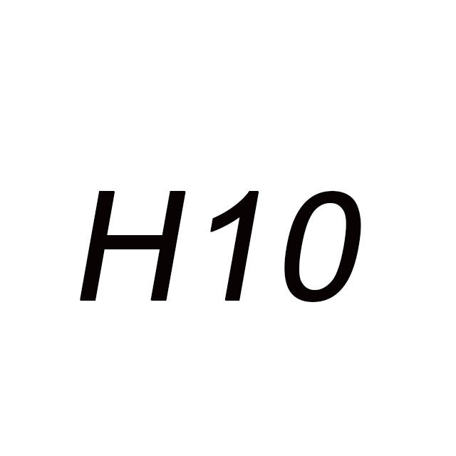 H10