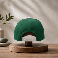 Casquettes de sport décontractées d'extérieur bicolores personnalisées, casquette de baseball structurée à 5 panneaux avec étiquette tissée et broderie