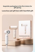 Sèche-cheveux portable mini 110000 tr/min sans balais haute vitesse 2 vitesses pliable avec concentrateur pour lissage français et usage enfant