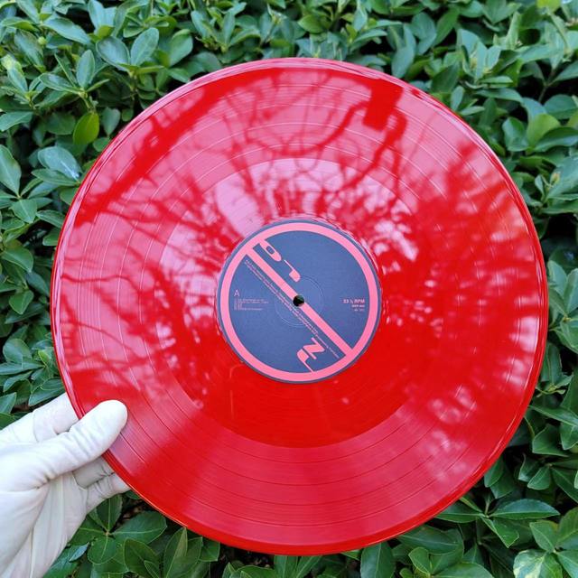 Factory Direct Custom 7" 10" 12" Vinyl Record LP Disc Pressing